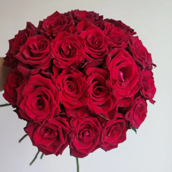 Rose Grand Amore | 50-60cm | Bloom Size M | MOQ 1 box 100 stems