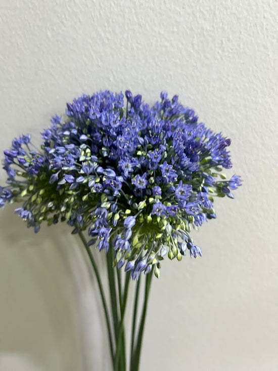Blue Perfume_10s