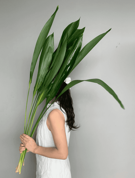 Ao Haran Above1M_10s