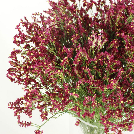Denkosekka_10s