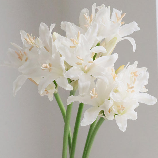 Diamond Lily White_10s