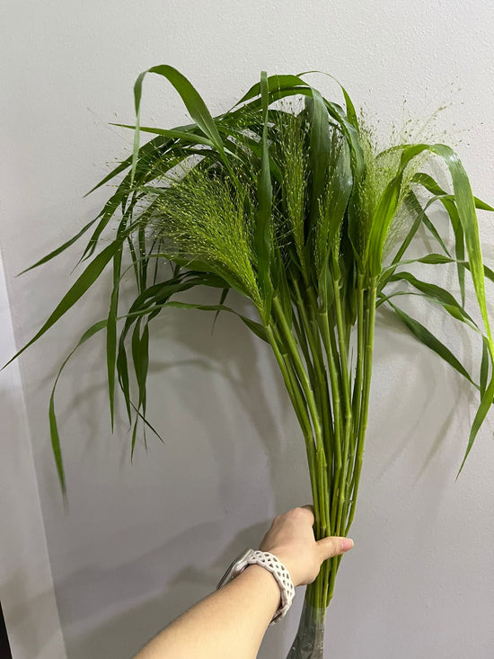 Smoke Grass_25s