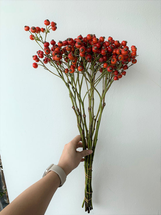 Sensational Fantasy_10s