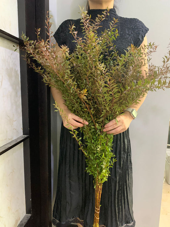 Yukiyanagi Dyed(Autumn Colours)_10s