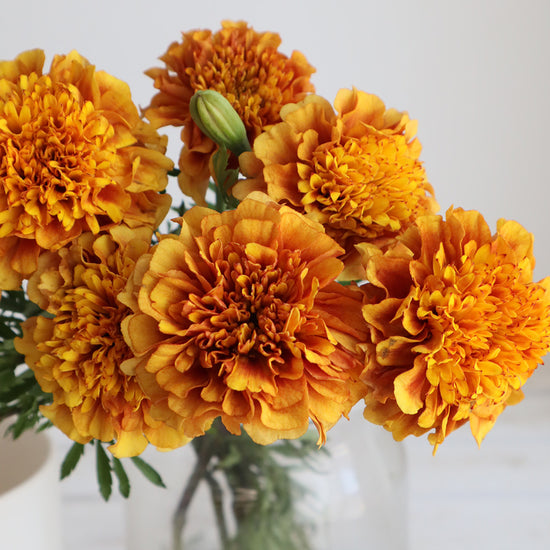 Strawberry Blonde_10s