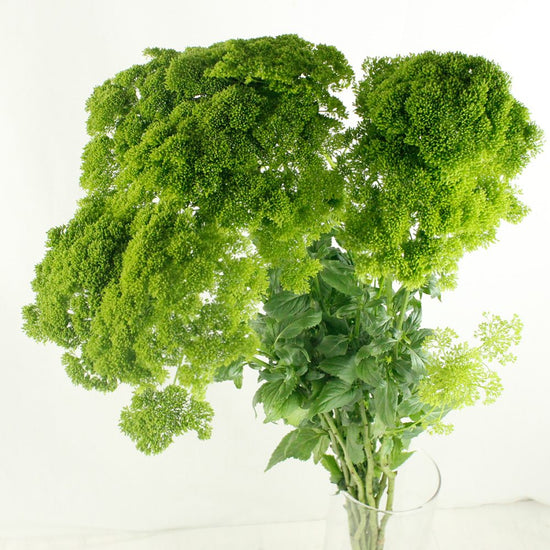 Buriba Green_10s