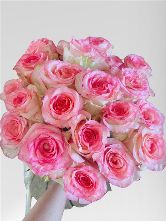 Rose Jumilia | 60-70cm | Bloom Size L | MOQ 1 box 60 stems