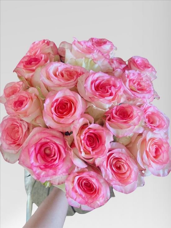 Rose Jumilia | 50-60cm | Bloom Size L | MOQ 1 box 60 stems