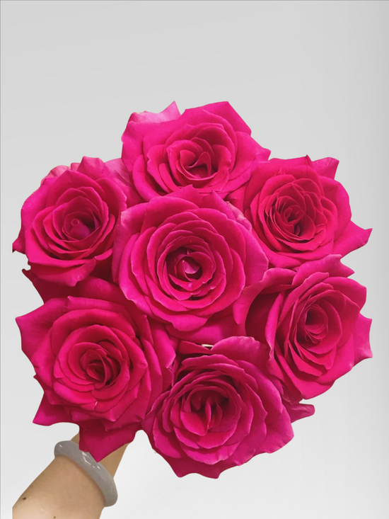 Rose Pink Floyd | 50-60cm | Bloom Size L | MOQ 1 box 100 stems