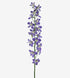 Delphinium Trick Lavender_10s