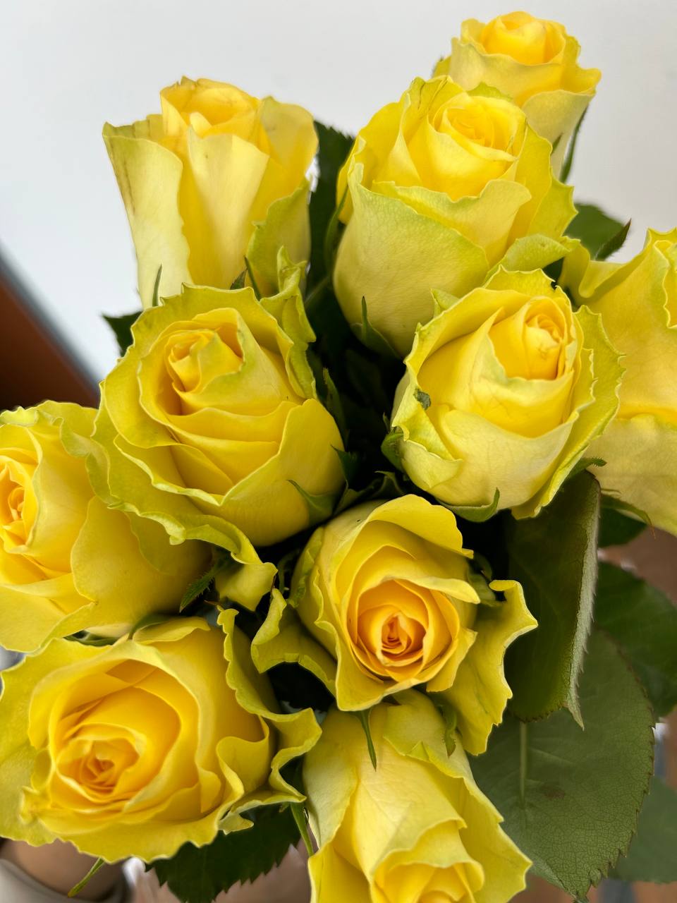 Minion Rose_10S